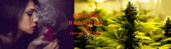 ECSTASY Ладушкин