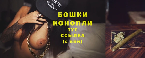 ECSTASY Ладушкин