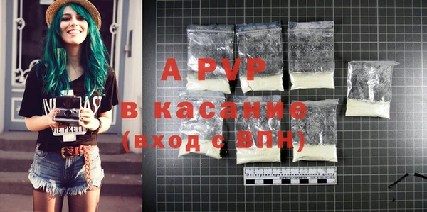 ECSTASY Ладушкин
