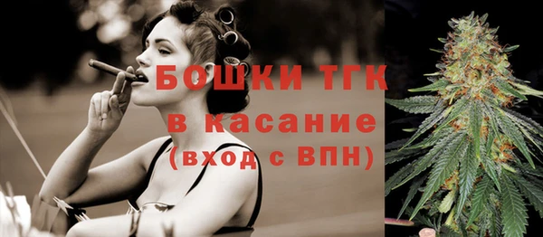 ALPHA PVP Куйбышев