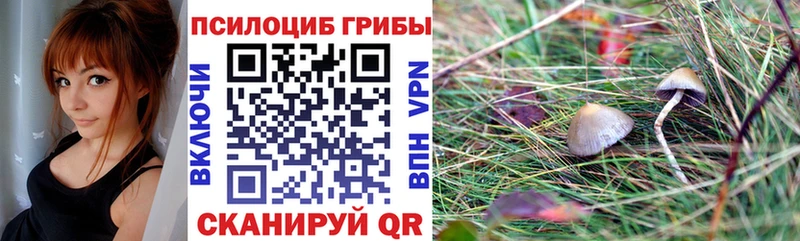 Галлюциногенные грибы Psilocybe  Купить где  Сафоново 